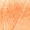 Caron® Simply Soft® Solid Yarn